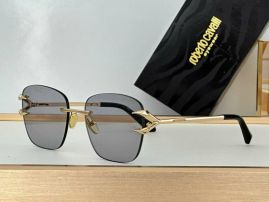 Picture of Roberto Cavalli Sunglasses _SKUfw55481745fw